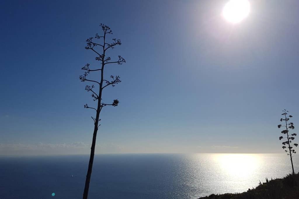 Suite Milu Cagliari Eksteriør bilde